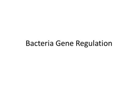 Bacteria Gene Regulation. Compare/Contrast Prokaryotic and Eukaryotic Protein Synthesis.