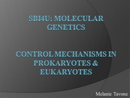 Melanie Tavone. Curriculum Expectations D3.3 explain the steps involved in the process of protein synthesis and how genetic expression is controlled in.