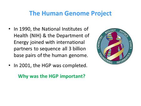 The Human Genome Project In 1990, the National Institutes of Health (NIH) & the Department of Energy joined with international partners to sequence all.