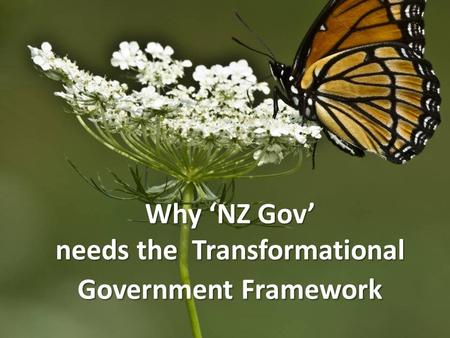 Why ‘NZ Gov’ needs the Transformational Government Framework.