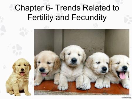 Chapter 6- Trends Related to Fertility and Fecundity Subheading.