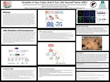 Growths in Your Colon Aren’t Fun, Get Yourself Some LKB1! Grafton High School Smart Team: Shabi Haider, Brendon Konon, Andrew Mosin, Yotaro Sueoka, and.