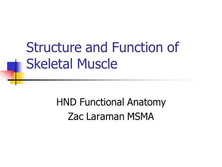 Structure and Function of Skeletal Muscle HND Functional Anatomy Zac Laraman MSMA.