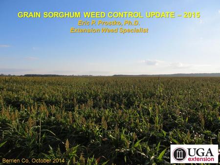 GRAIN SORGHUM WEED CONTROL UPDATE – 2015 Eric P. Prostko, Ph.D. Extension Weed Specialist Berrien Co, October 2014.