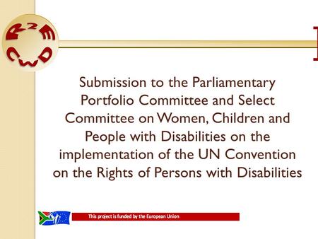 Submission to the Parliamentary Portfolio Committee and Select Committee on Women, Children and People with Disabilities on the implementation of the UN.