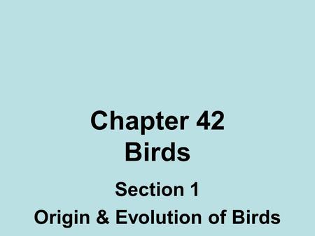 Section 1 Origin & Evolution of Birds