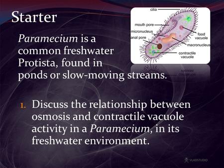 Starter Paramecium is a common freshwater Protista, found in ponds or slow-moving streams. 1. Discuss the relationship between osmosis and contractile.