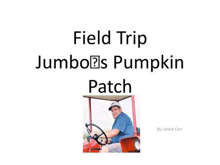 Field Trip Jumbo ﾒ s Pumpkin Patch By: Janice Carr.