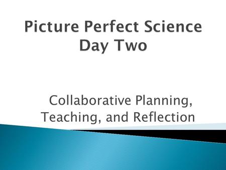 Collaborative Planning, Teaching, and Reflection.