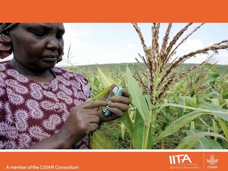 A member of the CGIAR Consortium. Mobile Finance for Agriculture Mireille N’Simire ICT SPECIALIST IITA-CENTRAL AFRICA HUB.