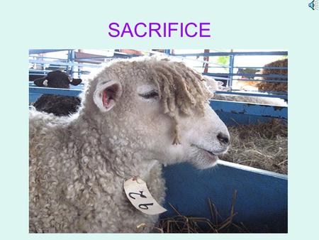 SACRIFICE. Definition Sacrifice from a Middle English verb meaning to make sacred“ commonly known as the practice of offering food, objects (typically.