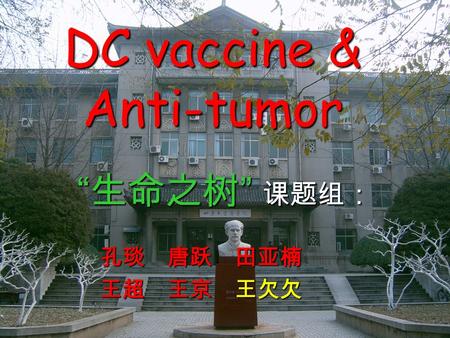 DC vaccine & Anti-tumor “ 生命之树 ” 课题组： 孔琰 唐跃 田亚楠 孔琰 唐跃 田亚楠 王超 王京 王欠欠 王超 王京 王欠欠.