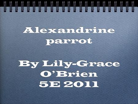 Alexandrine parrot By Lily-Grace O’Brien 5E 2011 By Lily-Grace O’Brien 5E 2011.