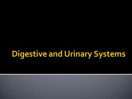 a. A peptic ulcer b. Lactose Intolerance c. Gastritis d. Appendicitis C. Gastritis.