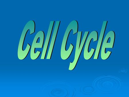 Cell undergoes intense growth. Cells spend most of their lives in this stage. Chromosome consists of only one chromatid. DNA is copied. Chromosome consist.