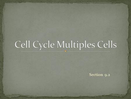 Section 9.2. Your genetic material exists as a mass of very long fibers that are too thin to be seen under a light microscope. These fibers consist of.