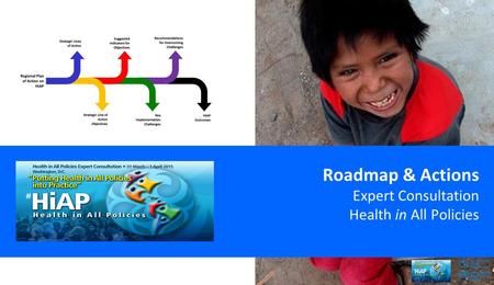 Roadmap & Actions Expert Consultation Health in All Policies.