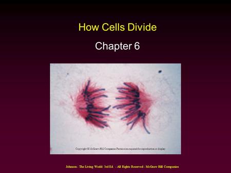 Johnson - The Living World: 3rd Ed. - All Rights Reserved - McGraw Hill Companies How Cells Divide Chapter 6 Copyright © McGraw-Hill Companies Permission.