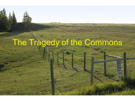 The Tragedy of the Commons. What is the tragedy of the commons? The tragedy of the commons involves a conflict between individual interests and the common.