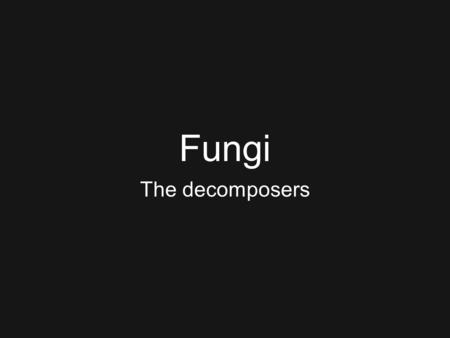 Fungi The decomposers. Ecological Importance Decomposition Symbiosis with plants (mycorrhizae)