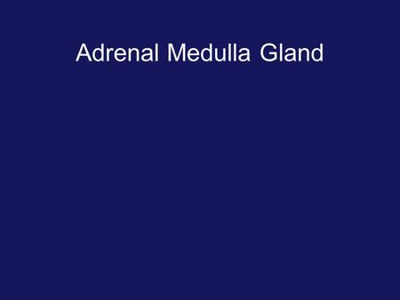 Adrenal Medulla Gland.