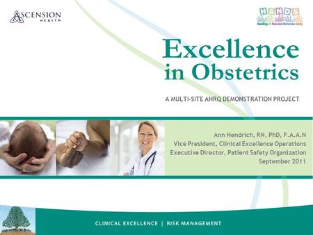 Excellence in Obstetrics A MULTI-SITE AHRQ DEMONSTRATION PROJECT Ann Hendrich, RN, PhD, F.A.A.N Vice President, Clinical Excellence Operations Executive.