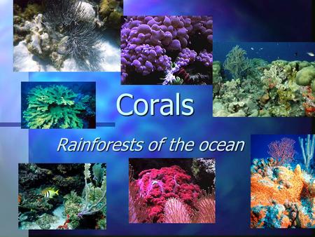 Corals Rainforests of the ocean. What does this map show?