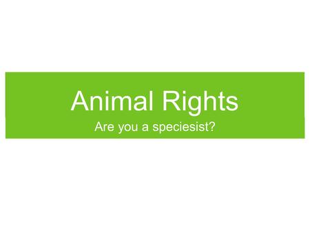 Animal Rights Are you a speciesist?. Animal Rights in the News.