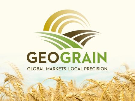 1. AVOID SPECULATION “ANALYSTS SPECULATE WHEN TO SELL YOUR GRAIN… WE CALCULATE WHERE TO SELL YOUR GRAIN.” 2. INCORPORATE ALL AVAILABLE DATA CASH BIDS-