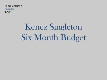 Kenez Singleton Six Month Budget Kenez Singleton Period 6 4-5-11.