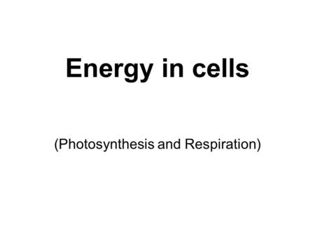 (Photosynthesis and Respiration)