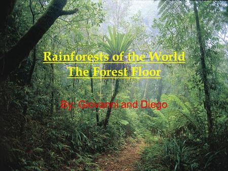 Rainforests of the World The Forest Floor By: Giovanni and Diego.