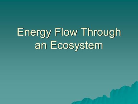 Energy Flow Through an Ecosystem