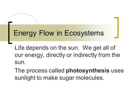 Energy Flow in Ecosystems