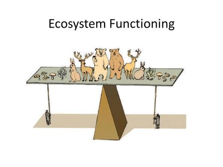 Ecosystem Functioning. Richness Abundance Body mass Ecosystem Functioning.