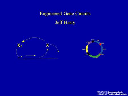 Engineered Gene Circuits Jeff Hasty. How do we predict cellular behavior from the genome? Sequence data gives us the components, now how do we understand.