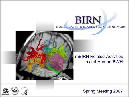 Spring Meeting 2007 mBIRN Related Activities In and Around BWH.