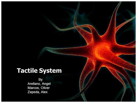 Tactile System By Arellano, Angel Marcos, Oliver Zepeda, Alex.