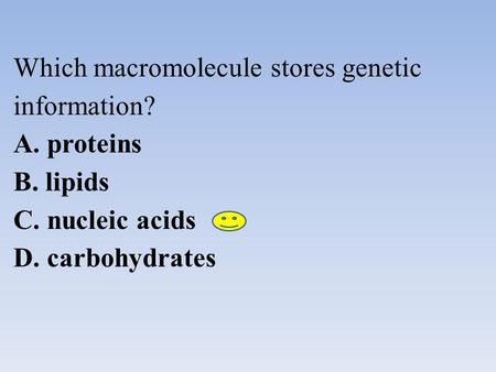 Which macromolecule stores genetic information?