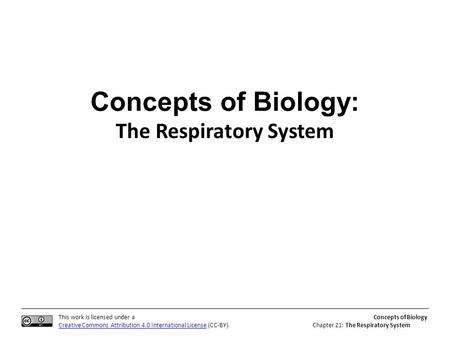 This work is licensed under a Creative Commons Attribution 4.0 International License (CC-BY). Concepts of Biology Chapter 21: The Respiratory System Concepts.