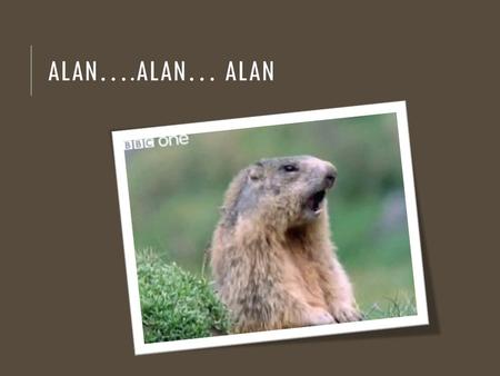 ALAN….ALAN… ALAN. WHO IS ALAN TURING?