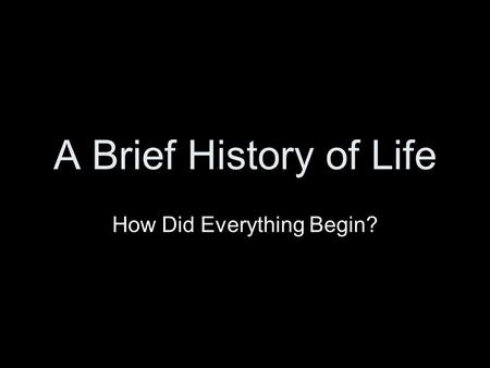 A Brief History of Life How Did Everything Begin?.