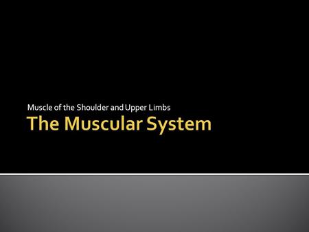 Muscle of the Shoulder and Upper Limbs. 1. The trapezius group 2. The deltoid group.