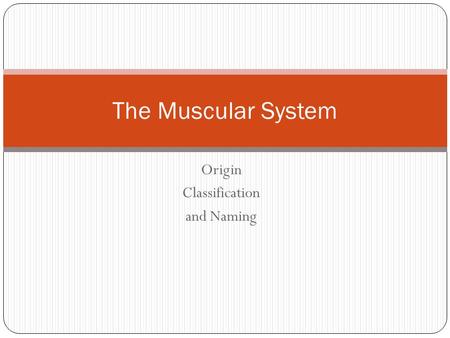 Origin Classification and Naming