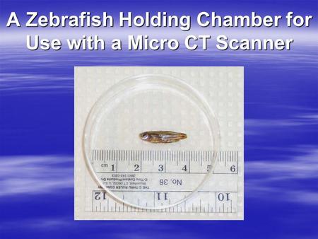 A Zebrafish Holding Chamber for Use with a Micro CT Scanner.