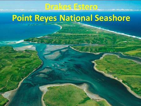 Drakes Estero Point Reyes National Seashore. History of DBOC permit violations In February 2012, the California Coastal Commission advised DBOC that.