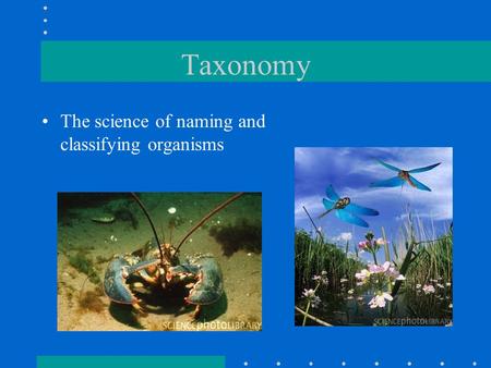 Taxonomy The science of naming and classifying organisms.