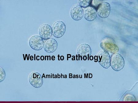 Introduction to pathology Dr. Amitabha Basu MD. What is Pathology ? It is the study (logos) of the sufferings (pathos).