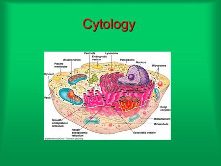 Cytology.