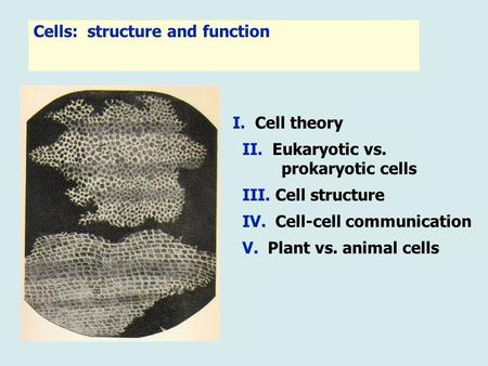 I. Cell theory II. Eukaryotic vs. prokaryotic cells III. Cell structure IV. Cell-cell communication V. Plant vs. animal cells Cells: structure and function.